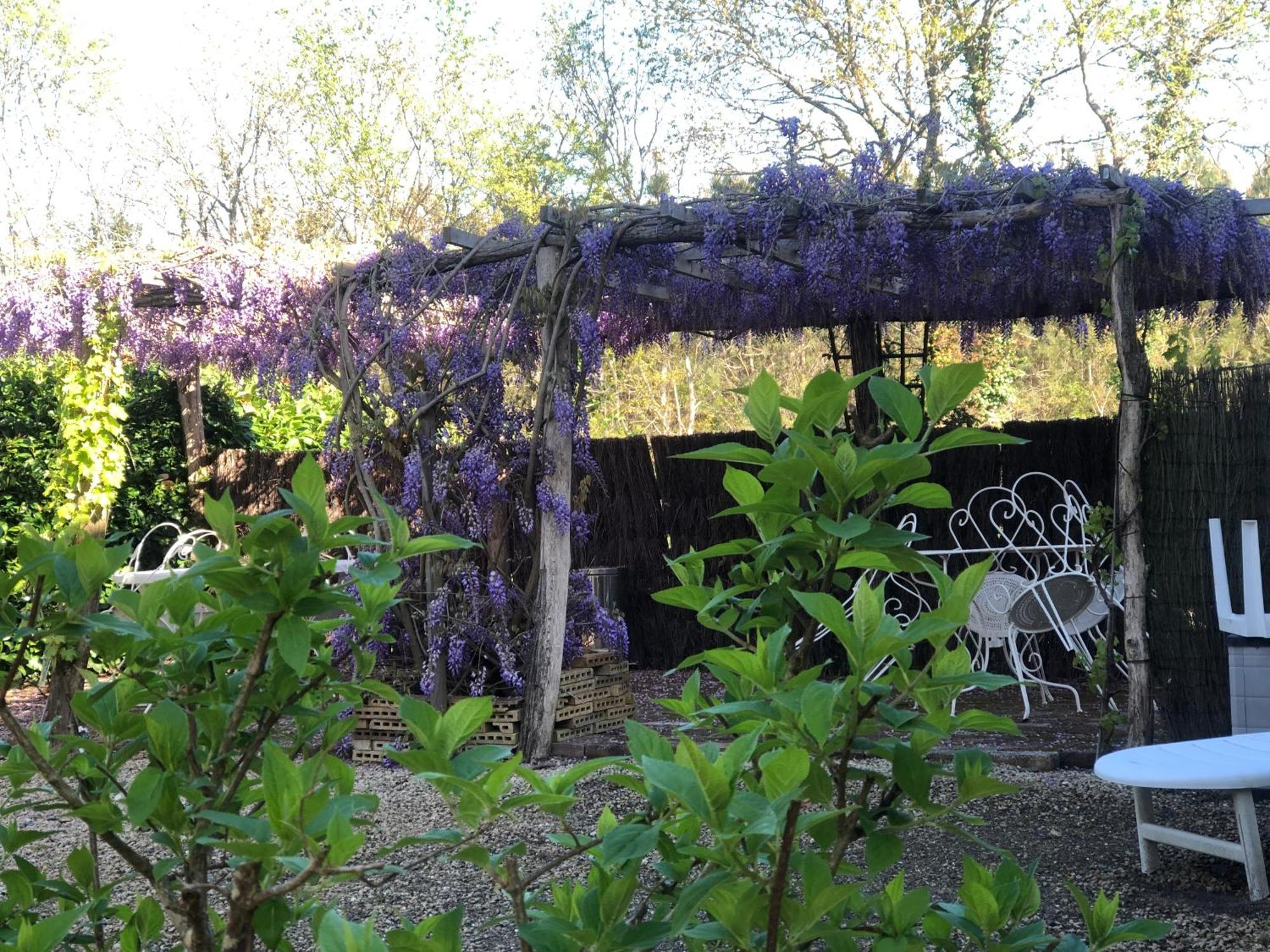 La Maison Des Ateliers Solférino Exteriör bild
